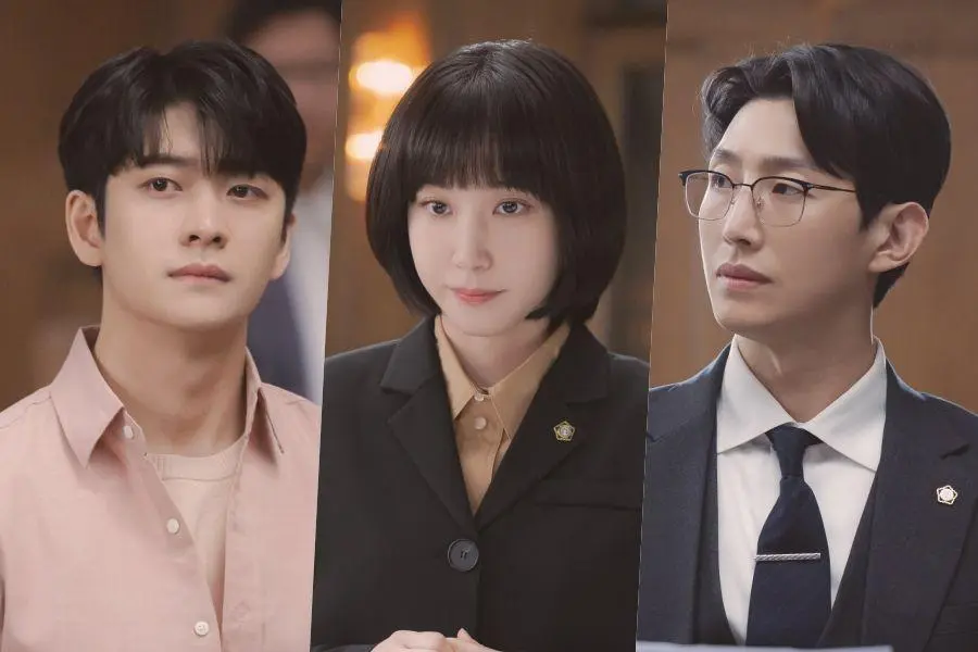 Extraordinary Attorney Woo